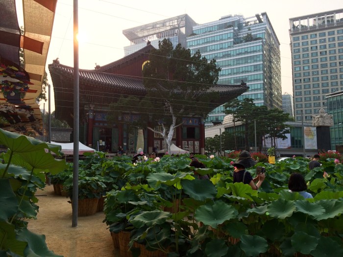 De complexiteit van onze veranderende wereld - Oud tegenover Nieuw, Oost tegenover West, Natuur tegenover Cultuur, ...