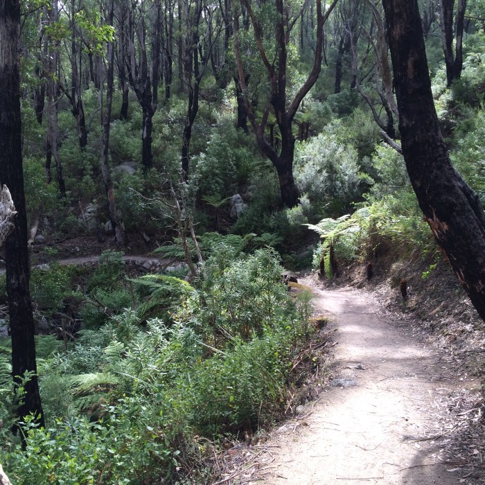 Verhalen helpen ons navigeren in een complexe wereld - (c)Bard 2015