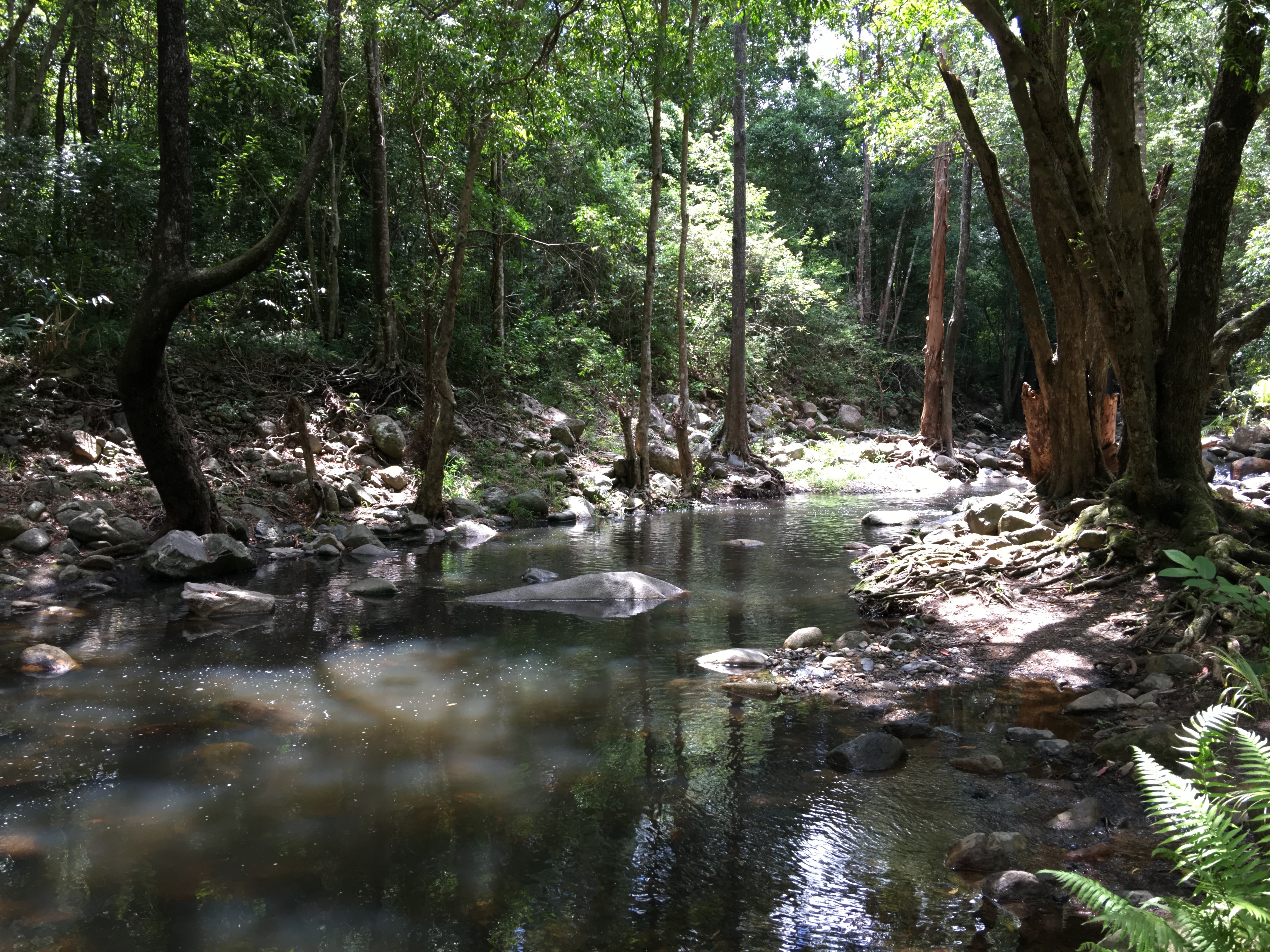 When Things Just Flow - © Bard 2018