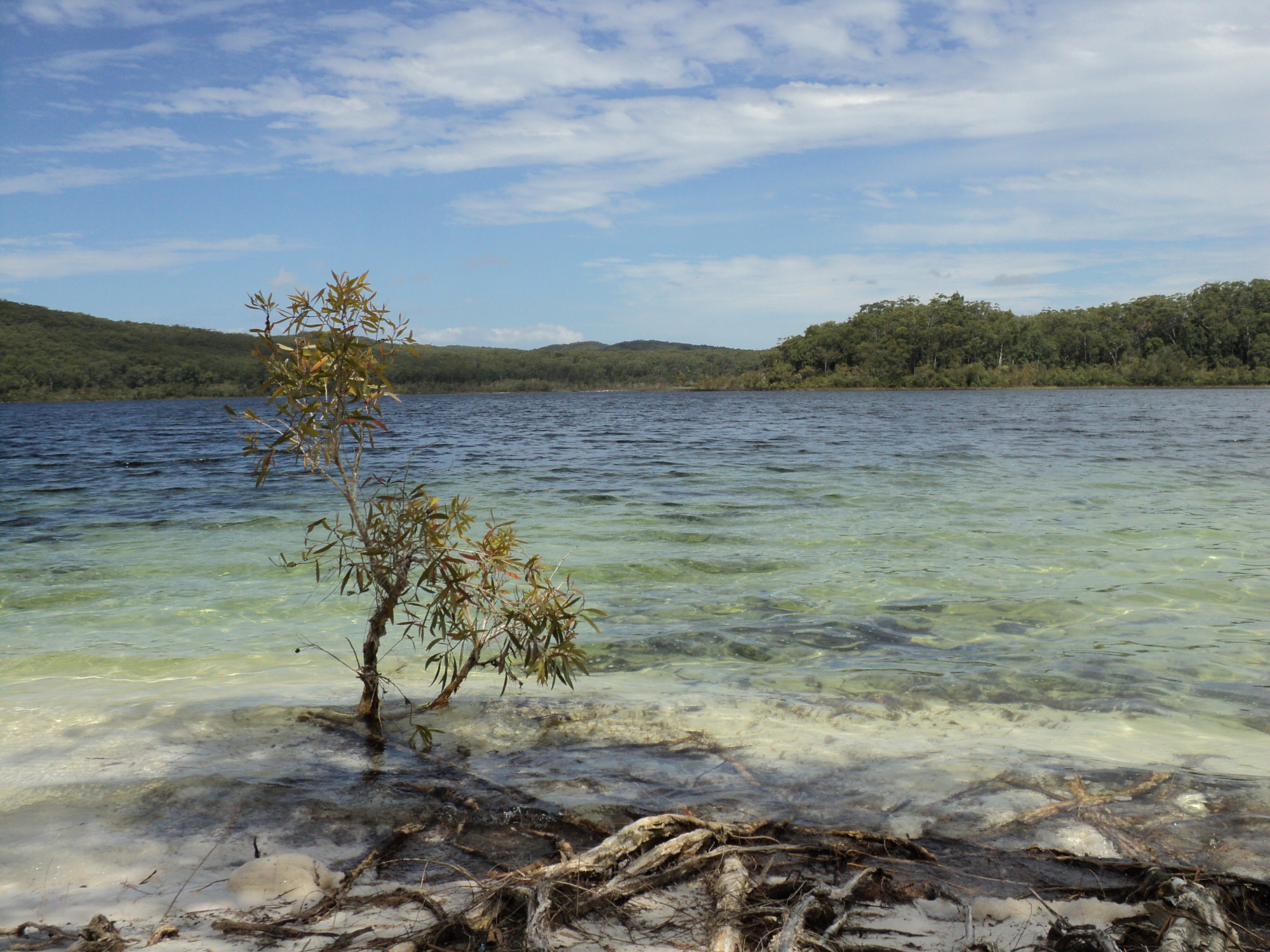 Het meer - ©Bard 2012