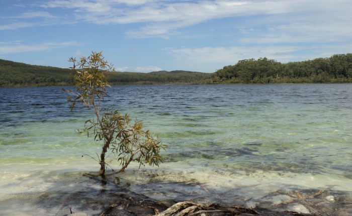 In gedachten verzonken