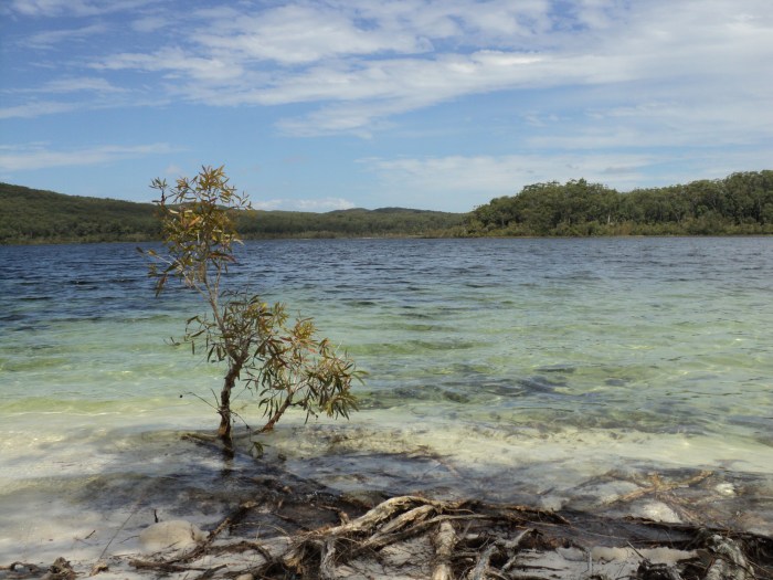 Het meer - ©Bard 2012